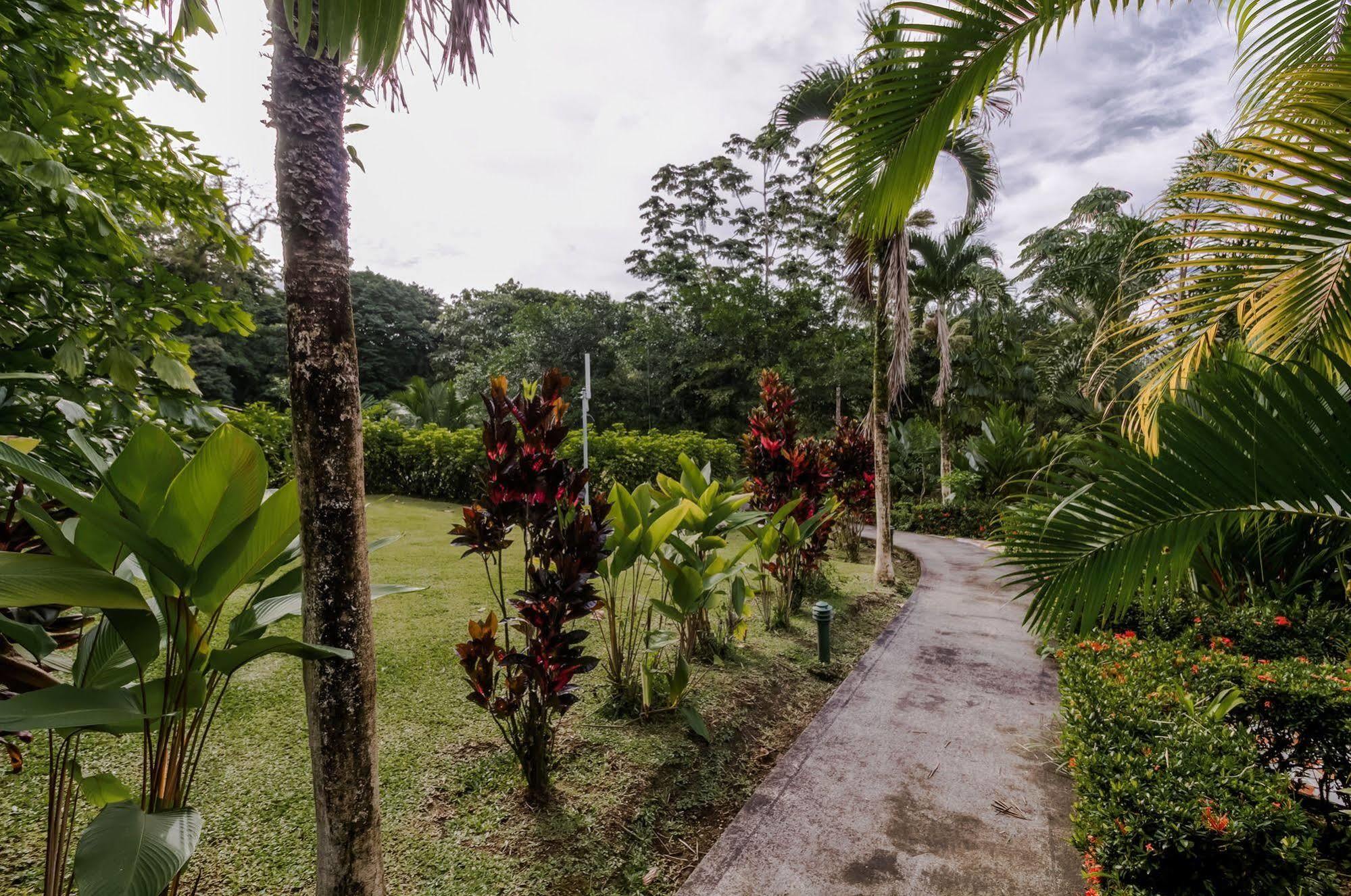 Arenal Green La Fortuna Exterior photo